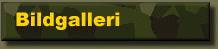 Bildgalleriet